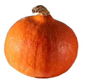 Potimarron