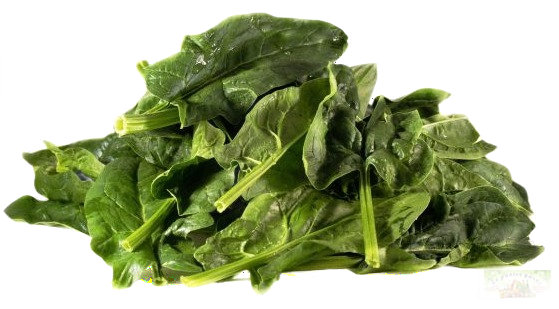 Epinard vracSN Vaglio