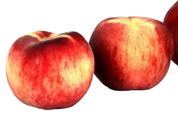 Pèches blanches
