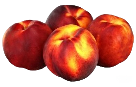 Nectarine Jaune