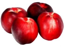 Nectarine Blanche