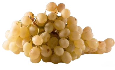 Raisin Blanc