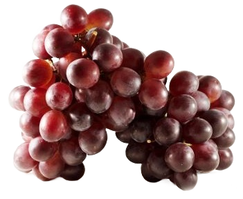 Raisin noir muscat