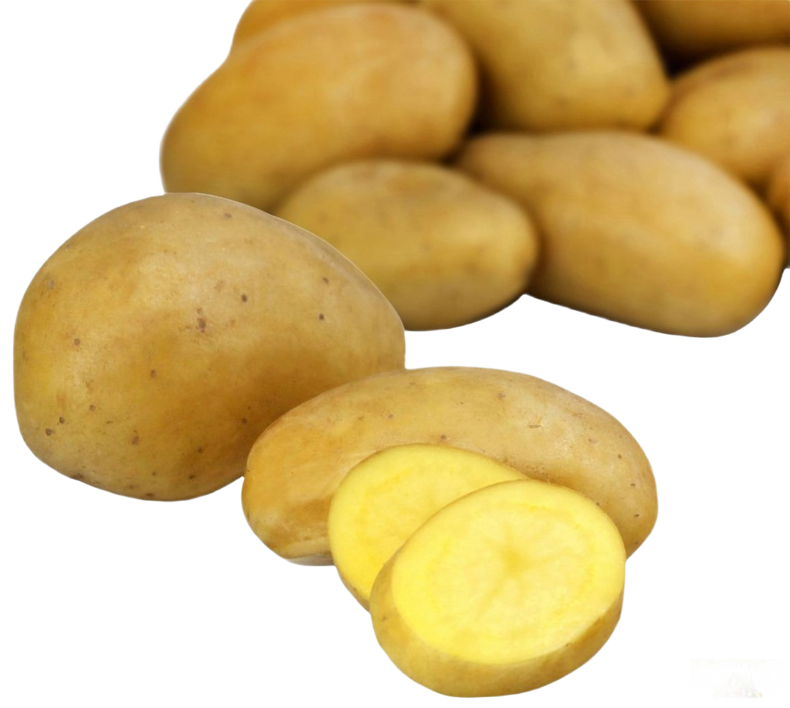 Pomme de terre Nouvelle Bretagne primaline