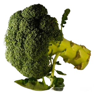 Brocolis