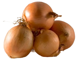 Oignons