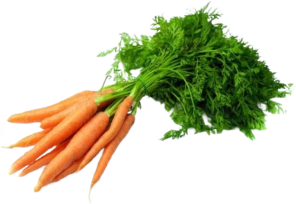 Carottes Bottes