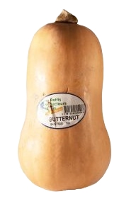 Butternut
