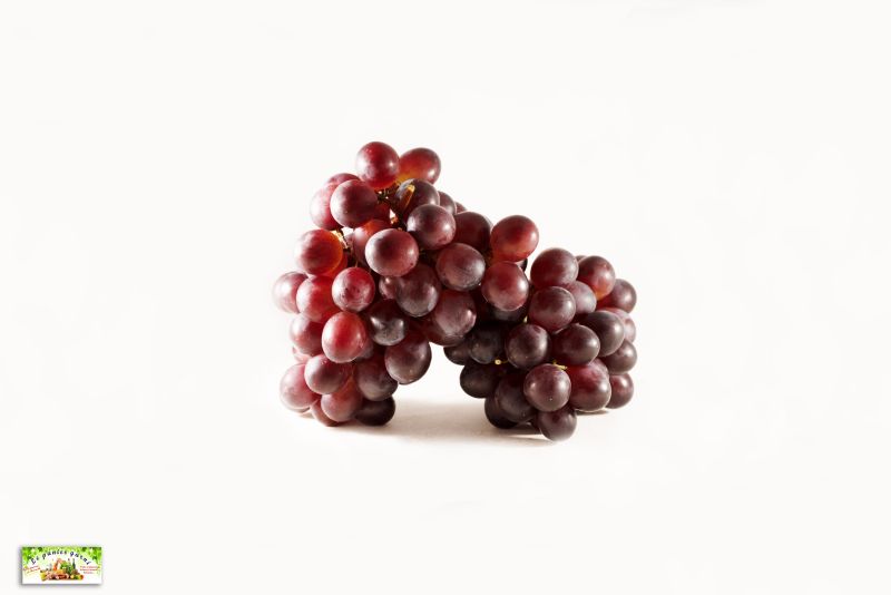 Raisin noir muscat